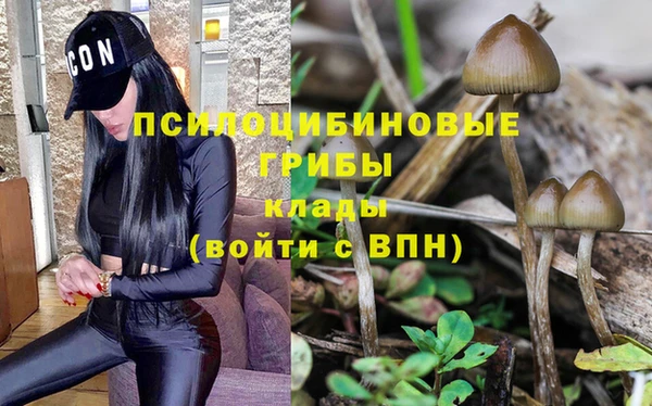 молекула духа Алексин