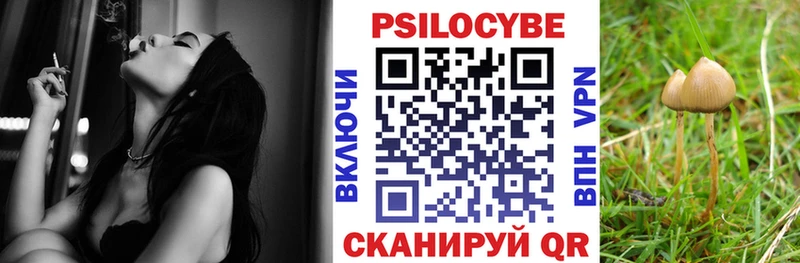 Псилоцибиновые грибы Magic Shrooms  где купить   Салехард 