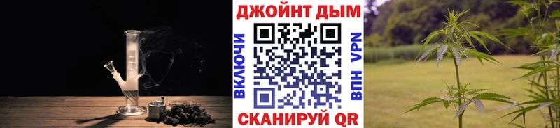 Конопля индика Салехард